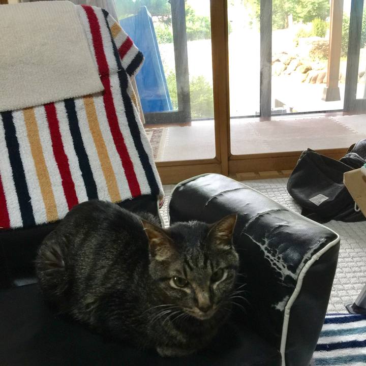 92754ca4 0e00 472a 96d4 34dbd5f0f151 1534112735780