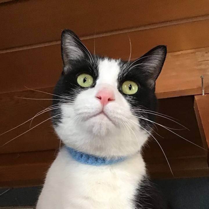 927558ee 827d 4908 a286 a82b4c82645f 1736049507526