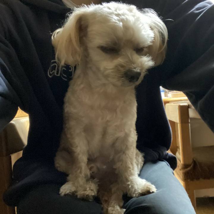 92755916 73a8 4d0c b977 a6e8be011a28 1607738432575