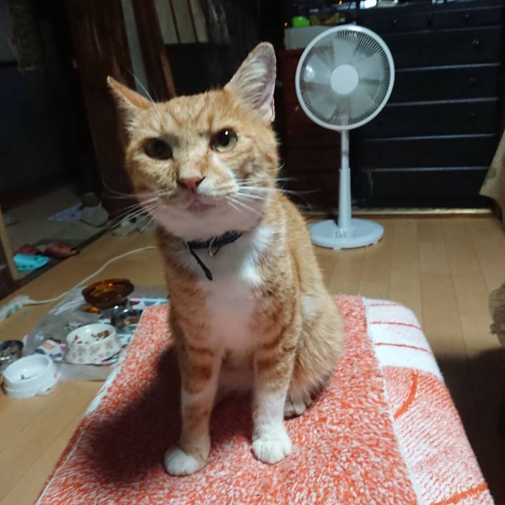 9275607b 44ef 4ac2 84f4 8a5390c3f537 1597440308776