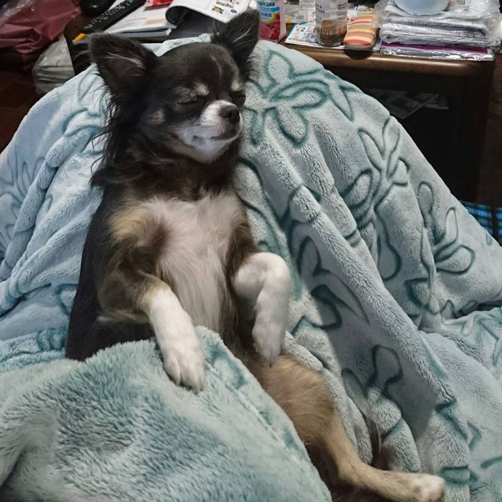92756c4e 0d56 4efa 9f29 19898bae3a64 1531038502727