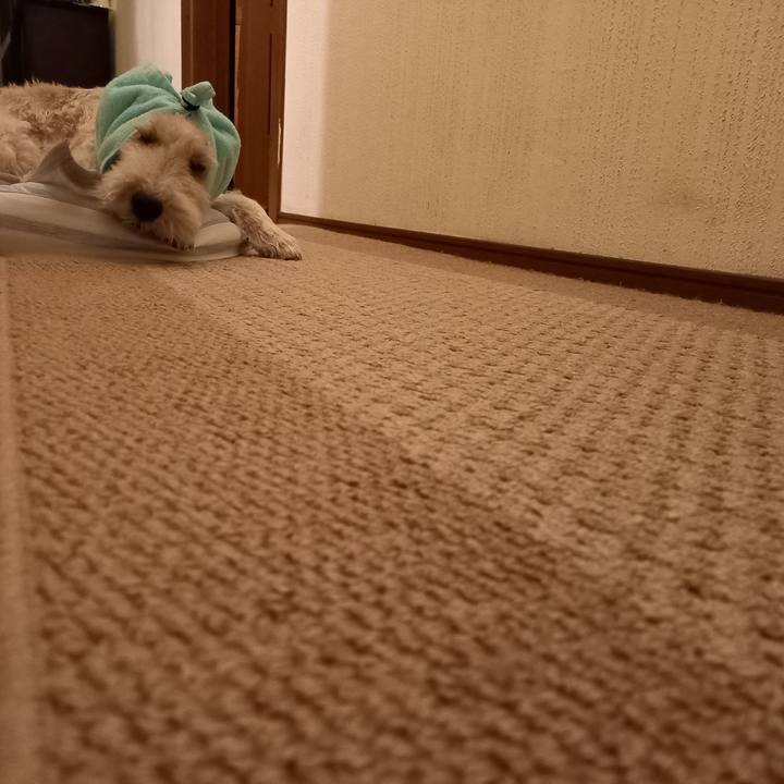 92756fbf 833d 4630 be4b a130f2cf2de8 1621519215320