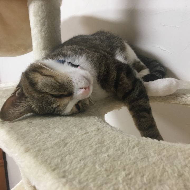 92759f66 bf9e 44f4 abc7 e0db0d9a8234 1693353473073