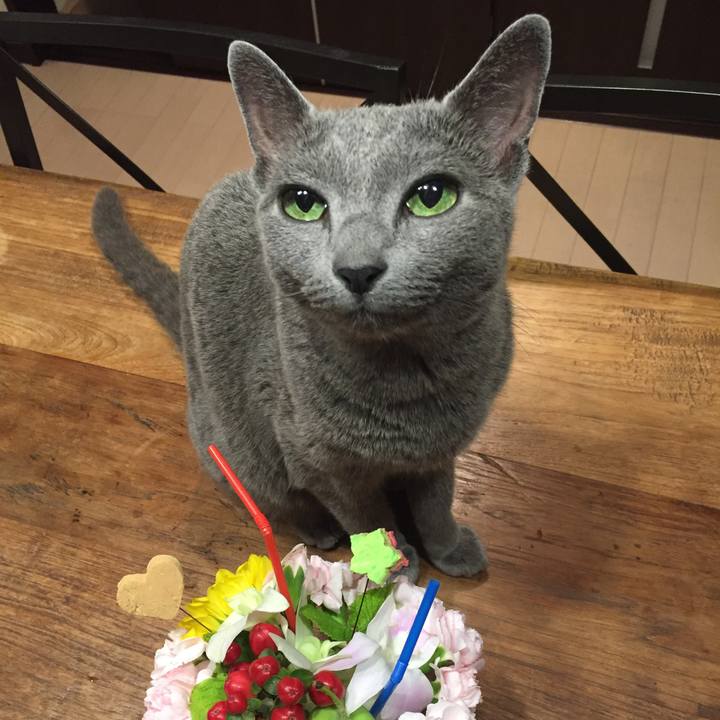 9275b001 7eb5 482c a88c b656cabf82b9 1532262952889