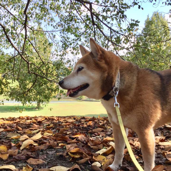 9275b73d bcbb 48d0 b105 e2b340685ecf 1633490730192