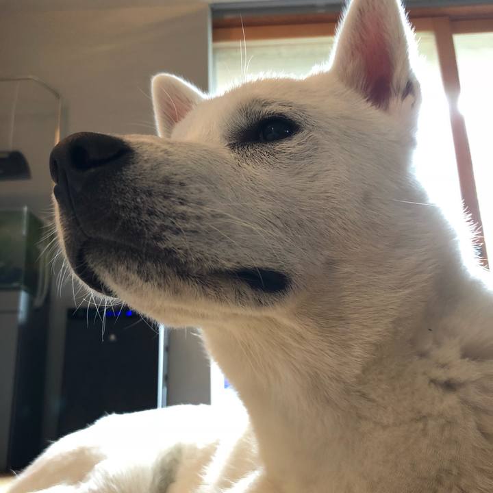 9275c0ce 781b 4d8e b3d2 ed9bfa087632 1525666926161