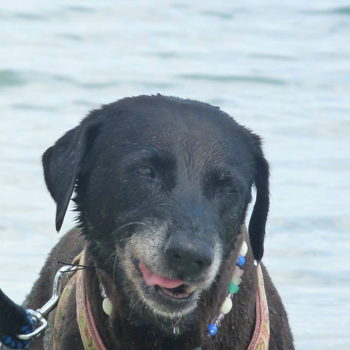 9275d7d4 8175 4cf1 876e 48e32c4063f2 1535636663149