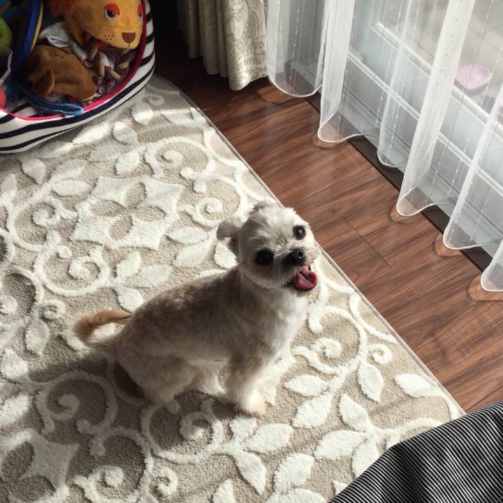 927604d9 9e26 44d1 8542 228993b28f94 1542547030560