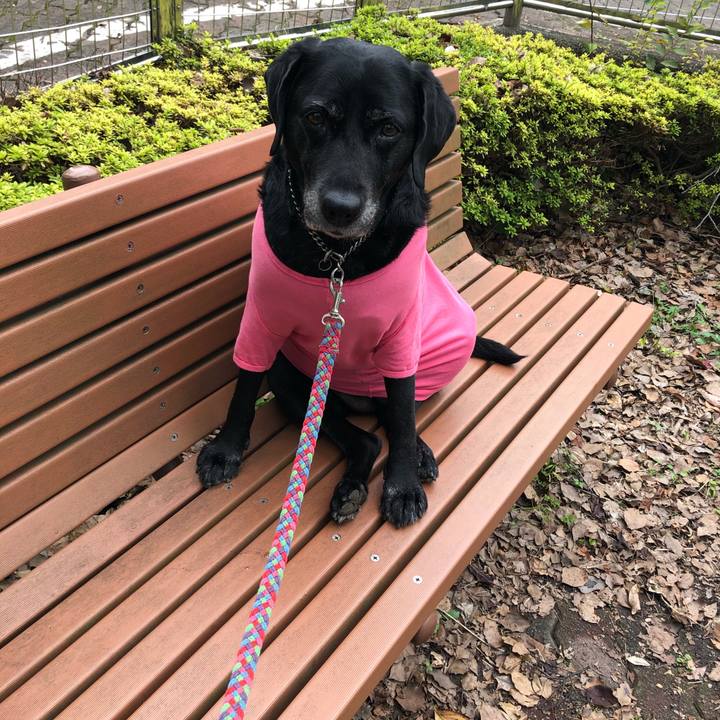 9276366c 28e1 4987 aff3 8dc63e022397 1571881021441