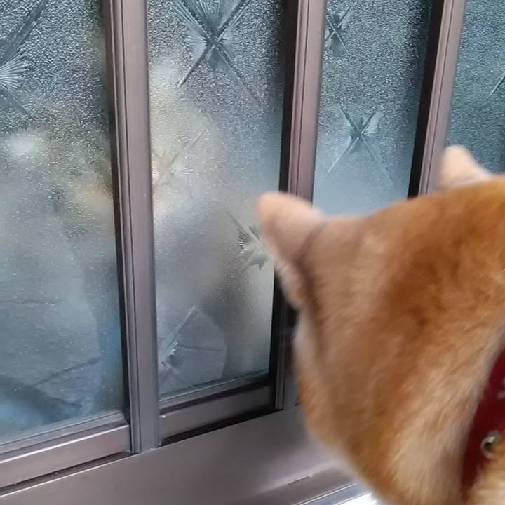 92765627 b787 4916 9bac 9b26117192cc 1640823256007