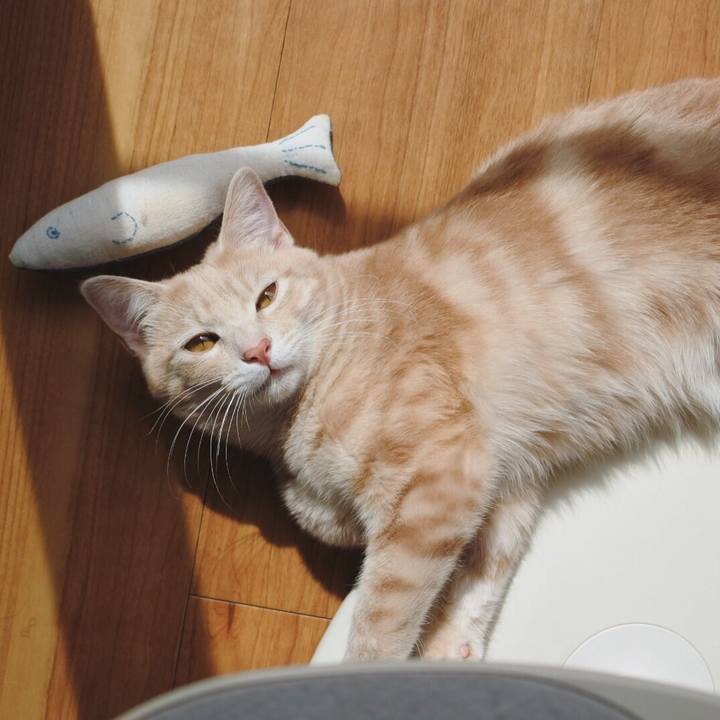 92765918 078d 4c2c ad5e a14fafc37d3d 1553072332348