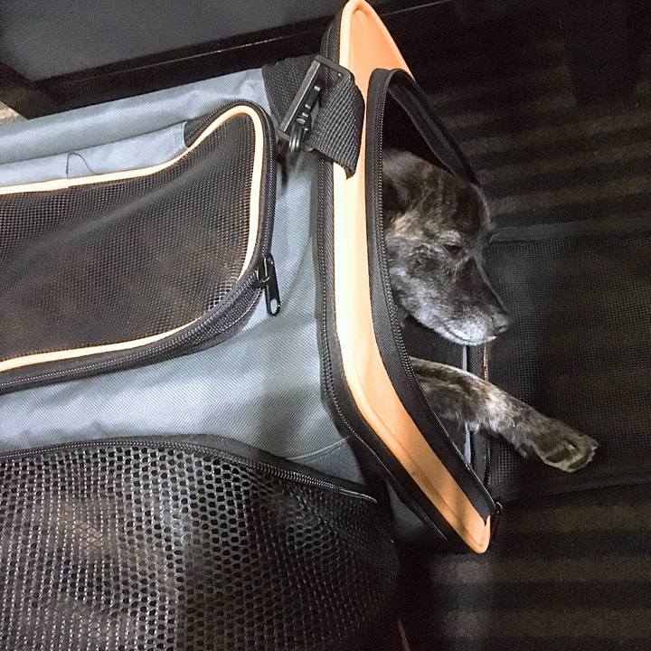 92767639 c7df 44a4 a581 ccff0fa0111e 1530021693071