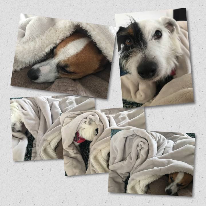 92769335 dc7c 45fa a420 c1bd91b8a049 1520487149372