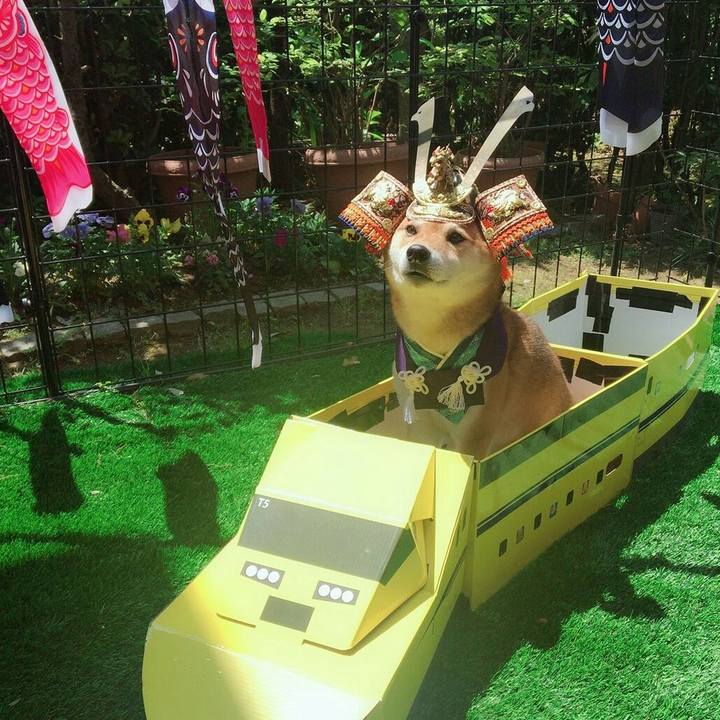 92769bd1 0f77 4bbc a5a6 f4d8f54c187f 1525495166266