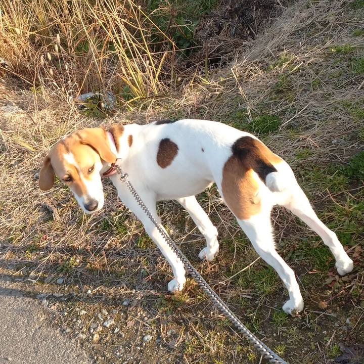 9276d0ca 2f9b 4b87 9ed3 1a6b268707f4 1580460991369