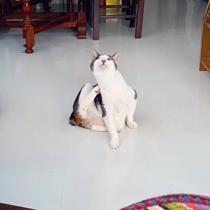 927702cd c4f0 4a5d b8cc 2f5a1e815f07 1599382532902