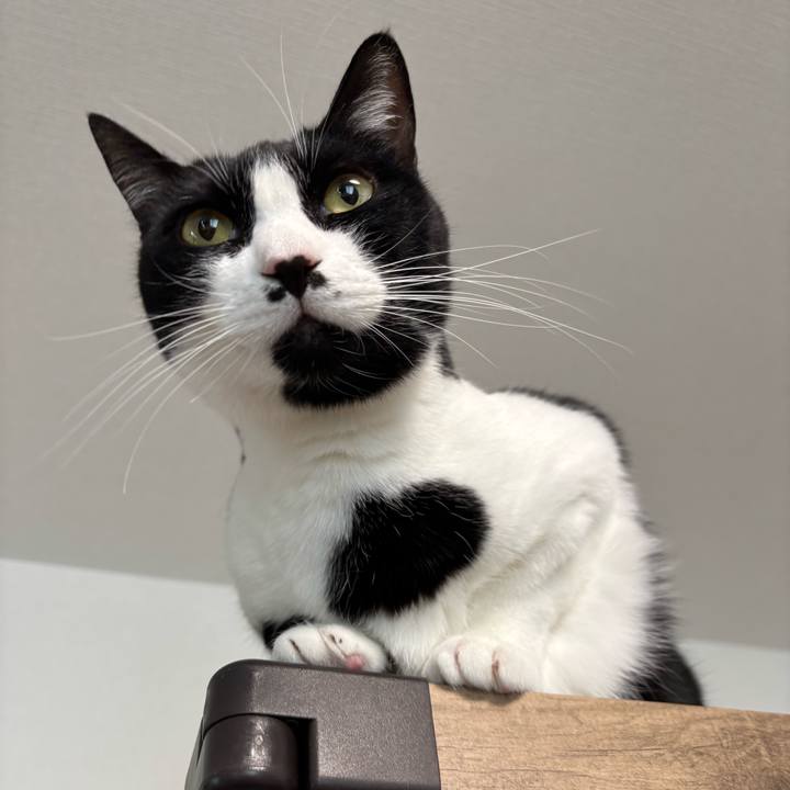 92771b28 40a5 4af1 946f dcdb409745bf 1770346456594