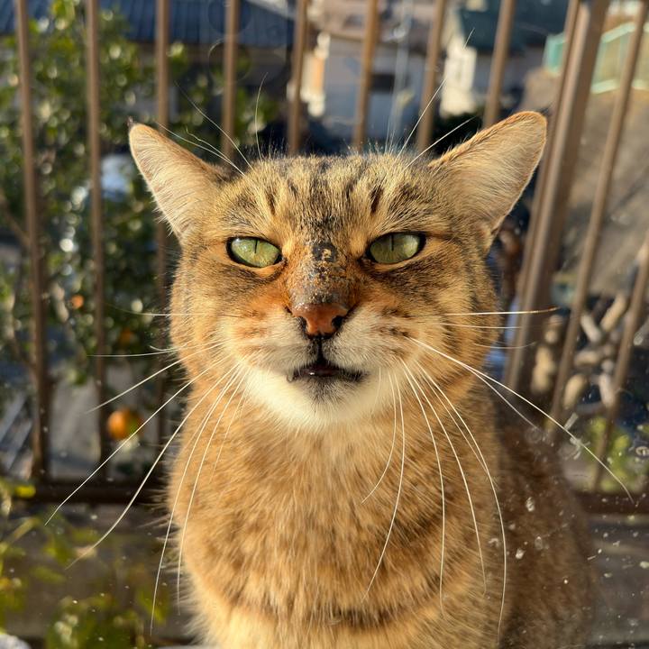 92771bfe a4e8 4b63 ab05 20bdaddca2b7 1767569758986