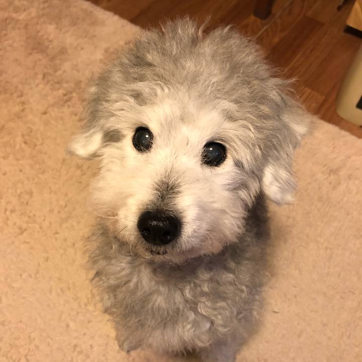 9277e63f 8885 427e af92 539ba194eeb7 1581950474210