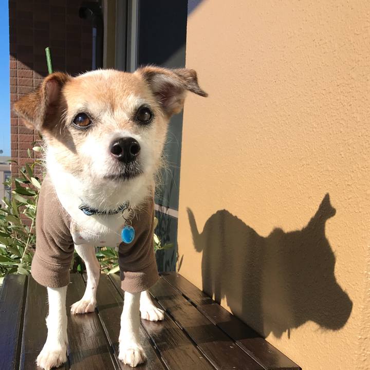 9277f91b ad33 4fd3 8f03 c7e6c24d381a 1666758904783