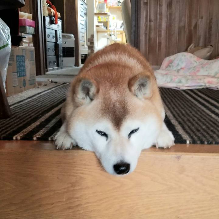 92780381 6e8f 4e58 ad94 5c9ceeca369c 1713756086354