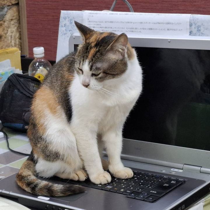 92780453 3428 4b99 bf95 6b1497b28722 1743428362039