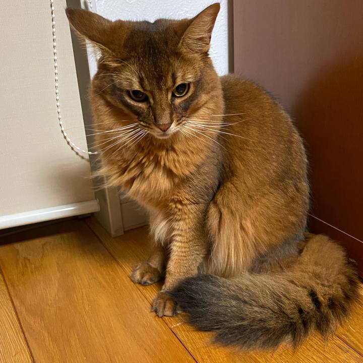 92780d61 d961 4dbf b80f c8e390b3bb8f 1634195200410