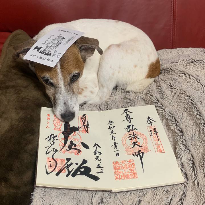 92780f2f 8f38 47cc 9d01 80c2f91fffa7 1556718102606