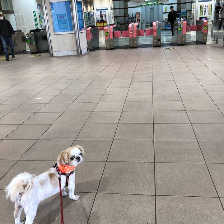 927820b0 eb09 4d0e b22f 7cfded802e72 1557092927887