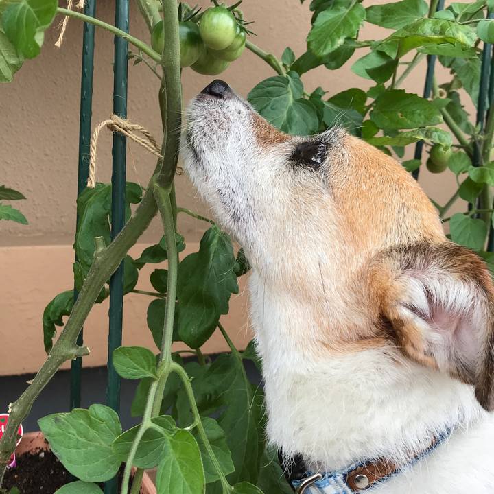 9278531e 19dd 4967 a82c 3f08108c99c9 1623894011233