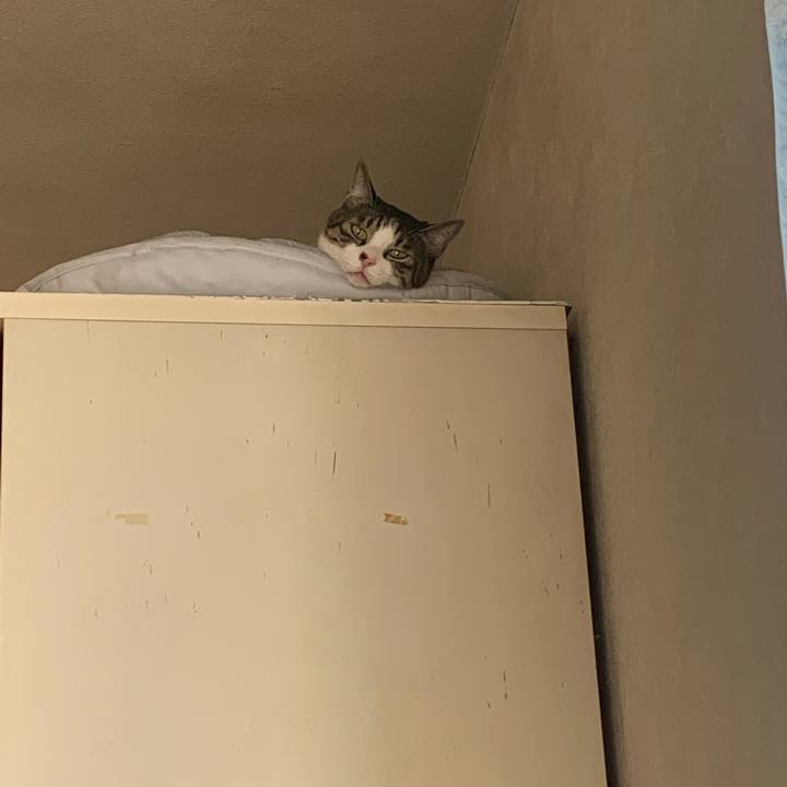 92785f01 3a68 4951 8955 0170c497d6e2 1659849193481