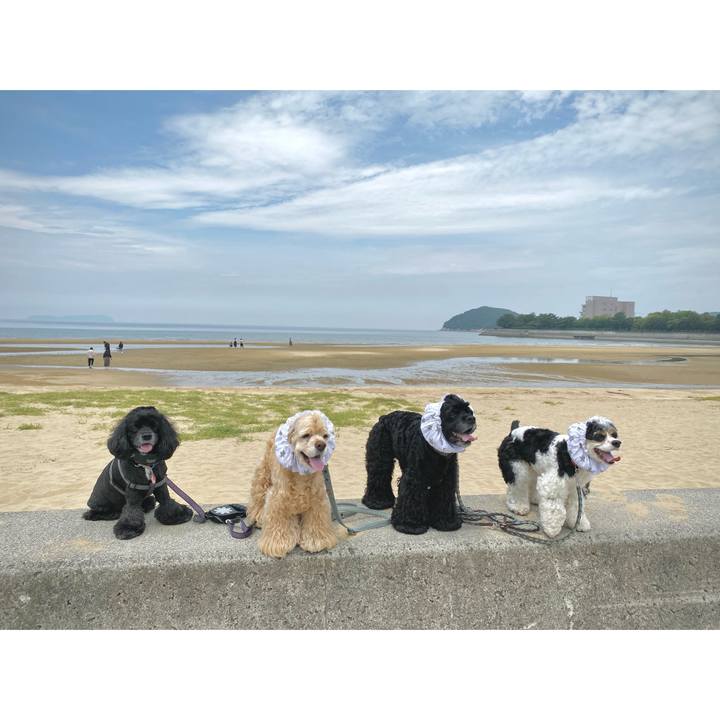 927867e9 8f81 4a77 a075 5f6062112aaa 1688796554873