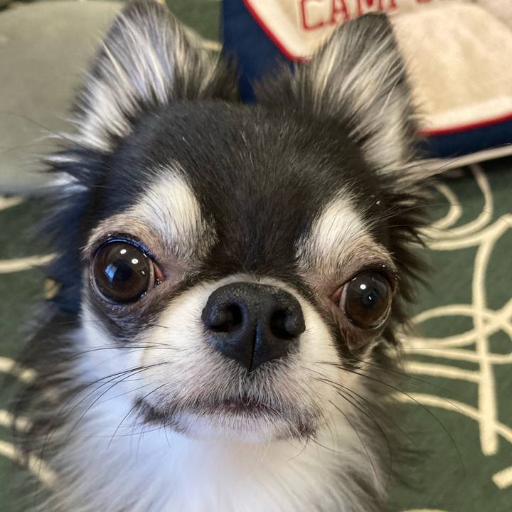 92786a29 da4e 4cc2 83fc 0df9208bbedf 1635546757969