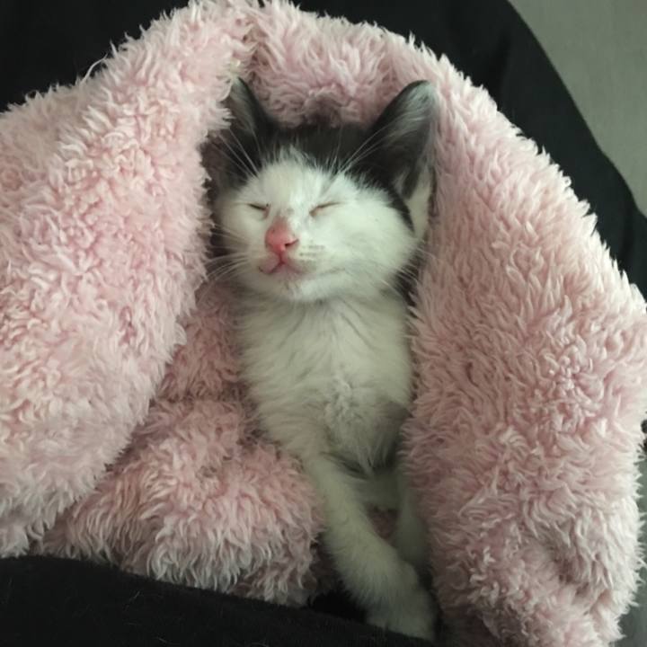 92786ae9 5b33 4da7 97ba 906296f0bee8 1529235097916