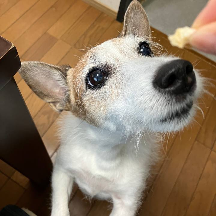 927891d6 746c 4ce8 895e e0d0c42a4c02 1727910968393