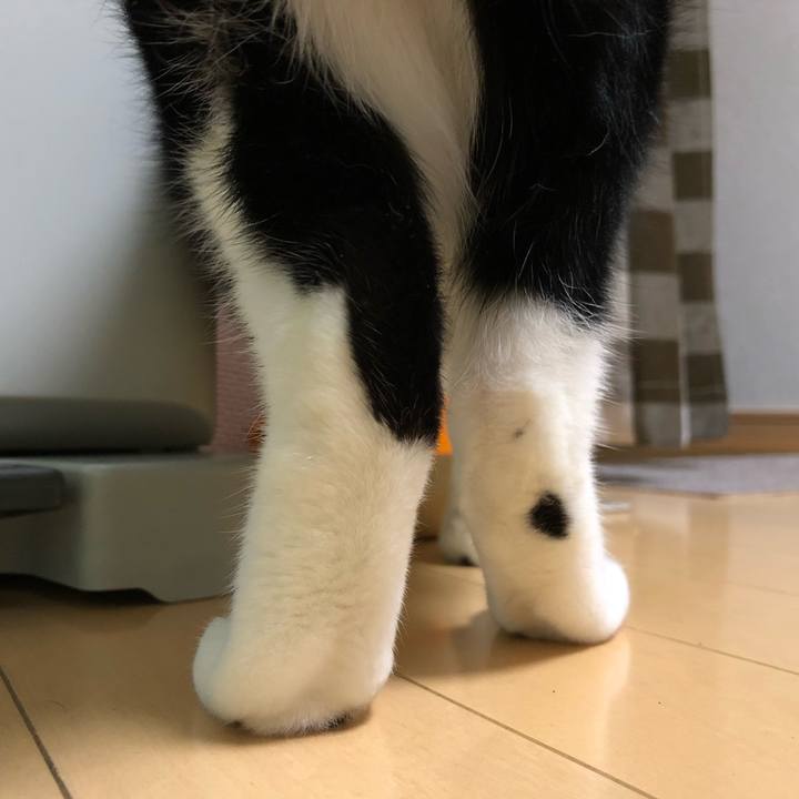 92789866 fc4f 447f 810d 9d47f9840014 1540586732138