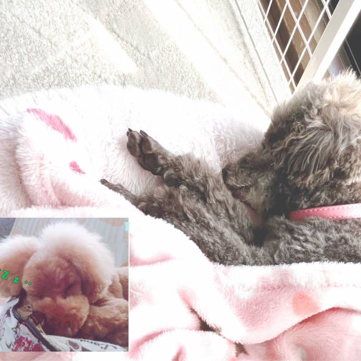 92789a27 feae 4d09 a4b0 42700f7f85d5 1682580109533