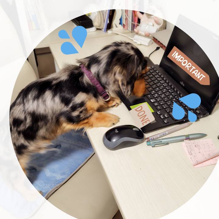 9278a89b c588 4831 886d 2ab2c0ad2a87 1731060596945