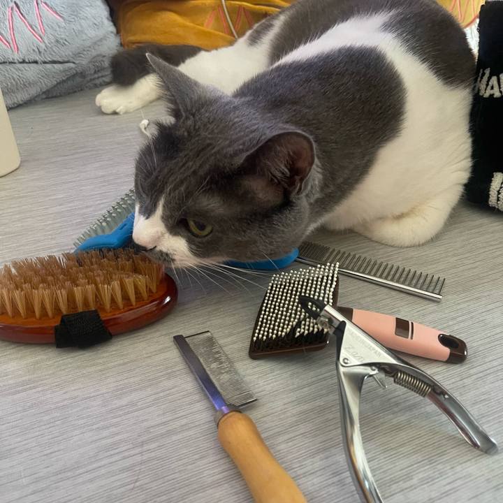 9278b12b 6791 48e3 b4cc 8ccf6ae33a02 1752366758962