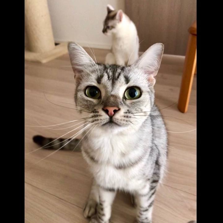 9278b340 df3d 41e7 b753 8e875f88004d 1533767911262