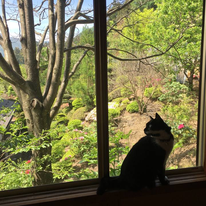 9278b843 9193 4fd5 9446 0c82ef67a2f0 1525570501232