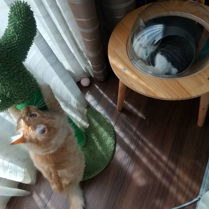 9278d664 30c8 4c79 9c06 ee436650b86c 1630296386158