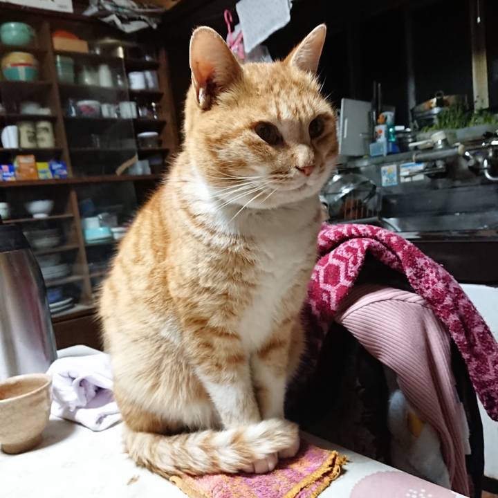 9278de03 efb7 4d3d a31b c0a9ac5a2a9a 1580936310396