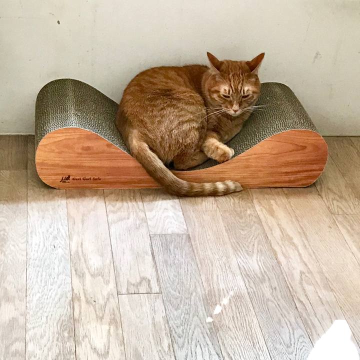 92790c5a ad3e 443a 934d 6038d56c8f02 1519629280390