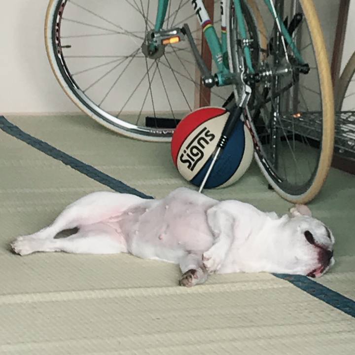 92794bae acd9 48c1 a99c 7e2ea85ef455 1533281377653