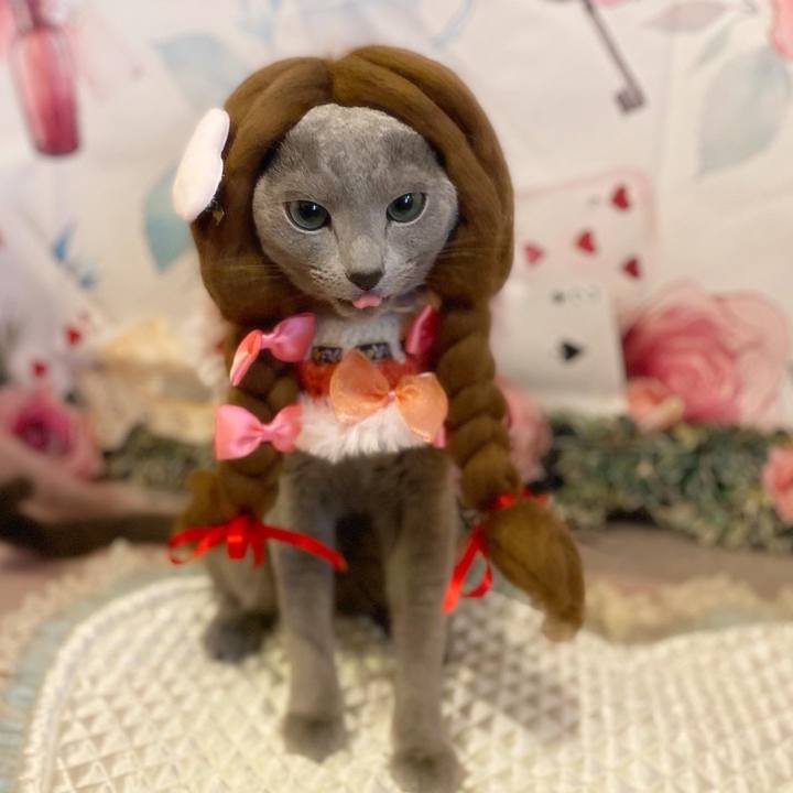 92794db7 ee79 4604 95cb ffe5dc69200a 1706329951790