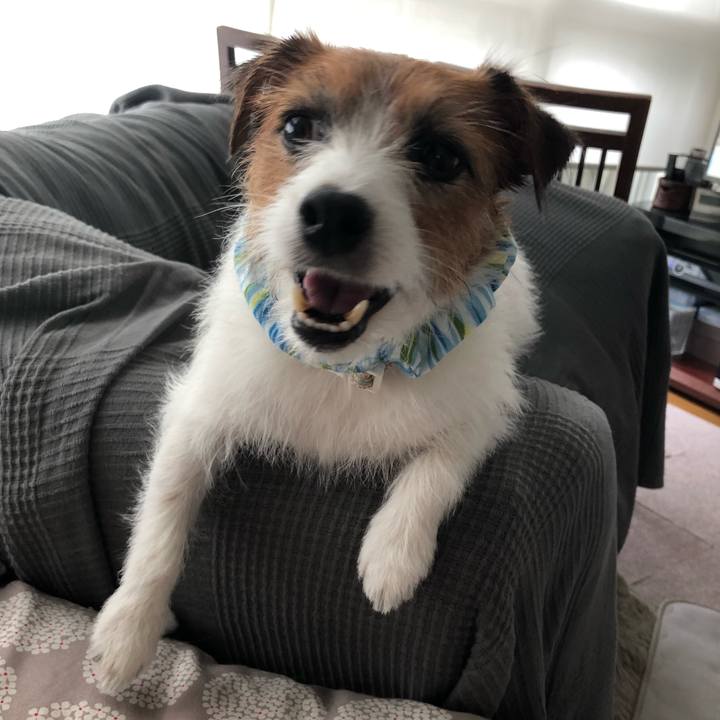 92797df9 d9f0 455b a4e8 83f7348e9d3d 1596869367150