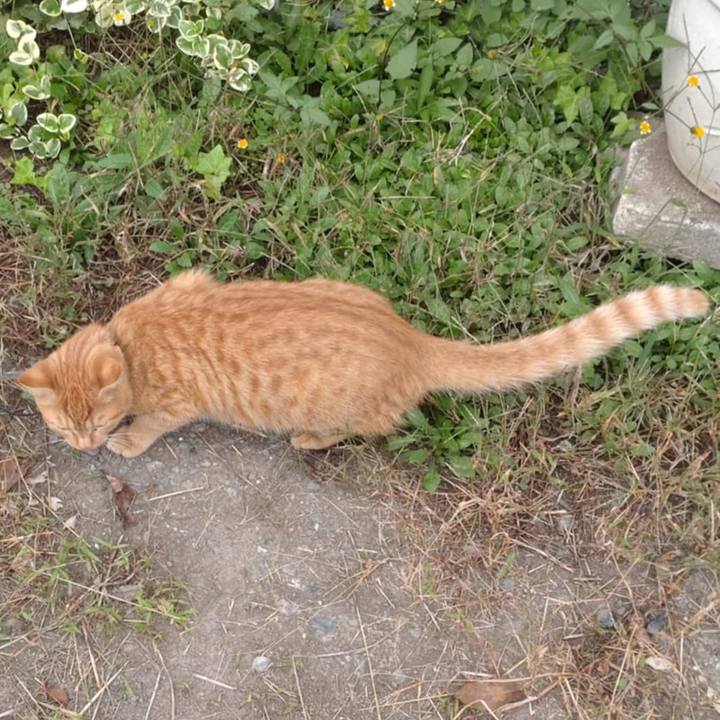 92797ff2 be7f 44dc 996d e4961f5bc016 1729900580497