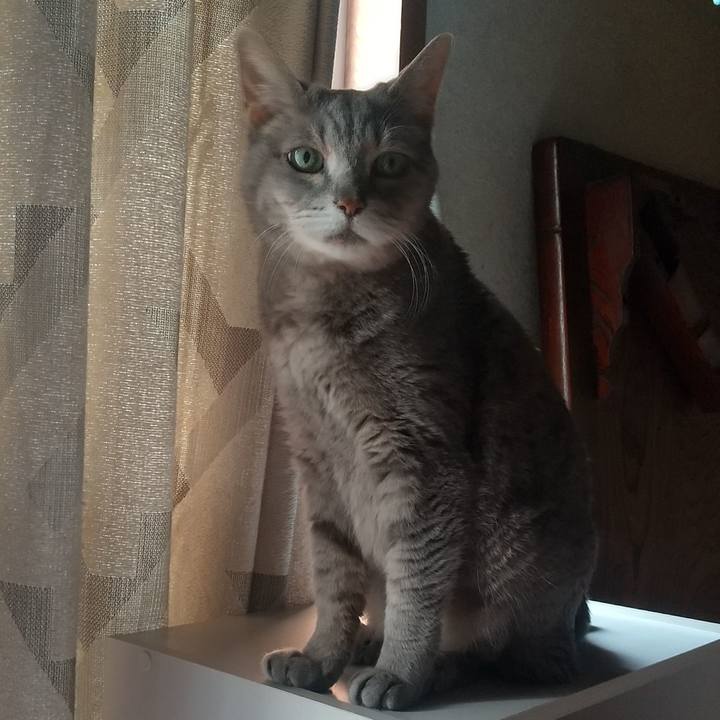 9279bbe5 9e5a 4121 b3d6 458b106cd8af 1687821677474