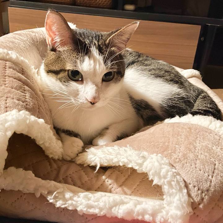 927a264a 2ea2 43a5 8669 567ad030dcf5 1770983899331